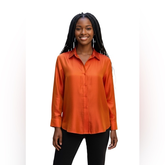Linda Allard Ellen Tracy Silk iridescent Corp core minimalist contemporary shirt - Picture 1 of 14